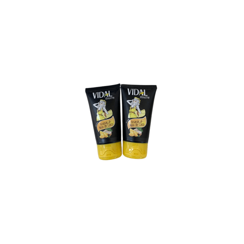 Lot de 2 crème de douche Vidal