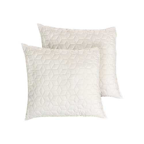 Lot de 2 oreillers - Mémoire de forme - BZ DESTOCK